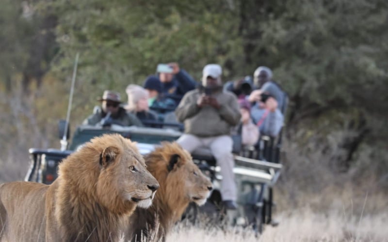 Stay 3 Nights Pay for 2 Nights only Simbavati Experience Greater Kruger Park
